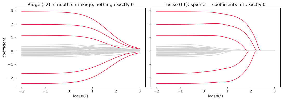 <Figure size 1100x400 with 2 Axes>