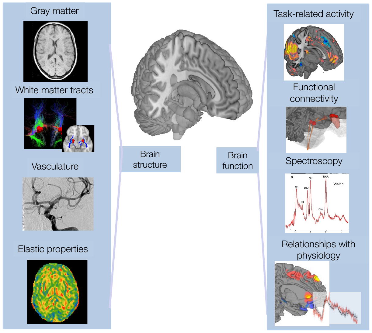 Diagram showing structural image types (gray matter, white matter tracts, vasculature, elastic properties) on the left and functional types (task activity, connectivity, spectroscopy, physiology) on the right, around a central 3D brain
