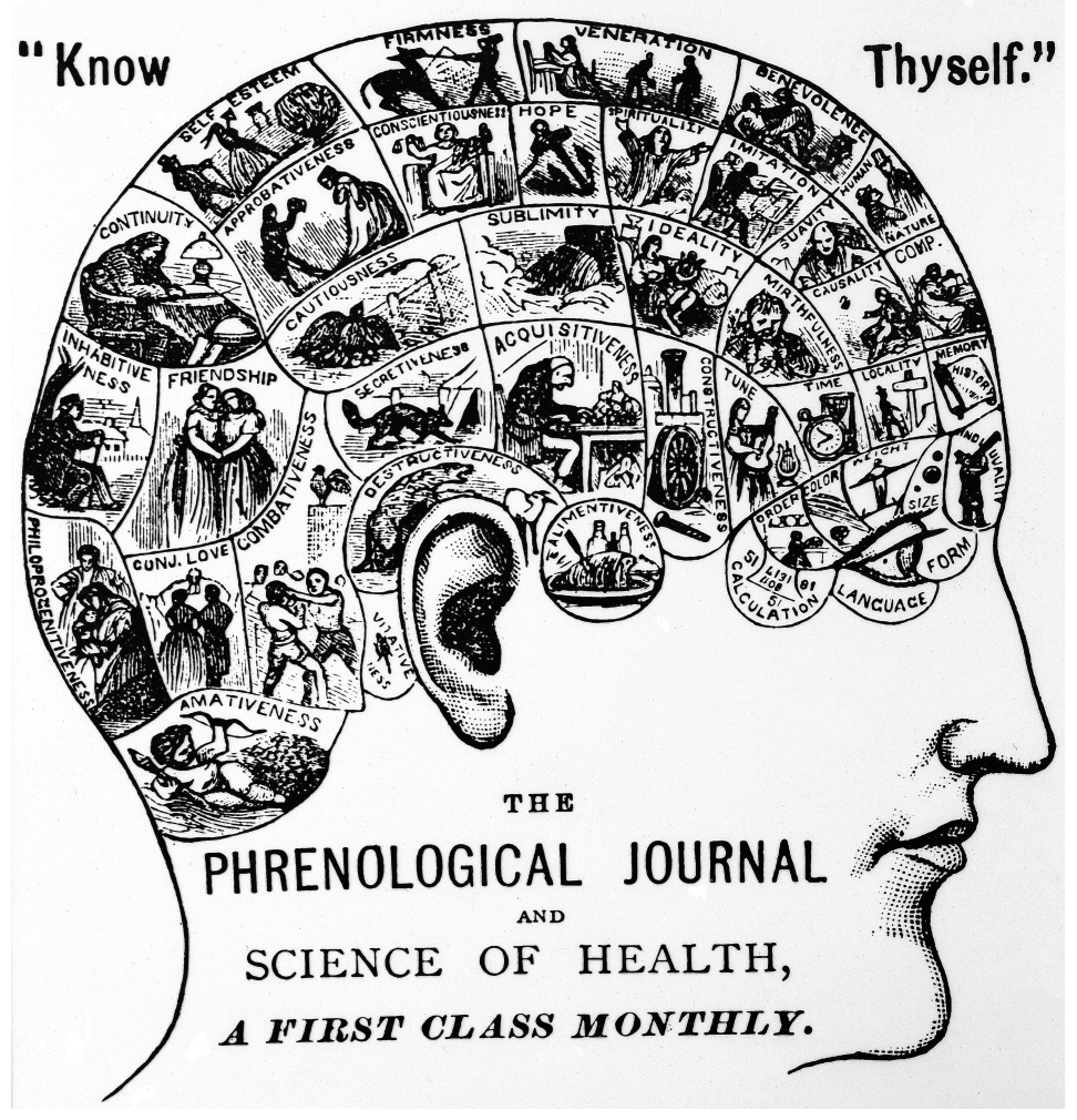 A 19th-century phrenological map showing mental faculties assigned to regions of the skull