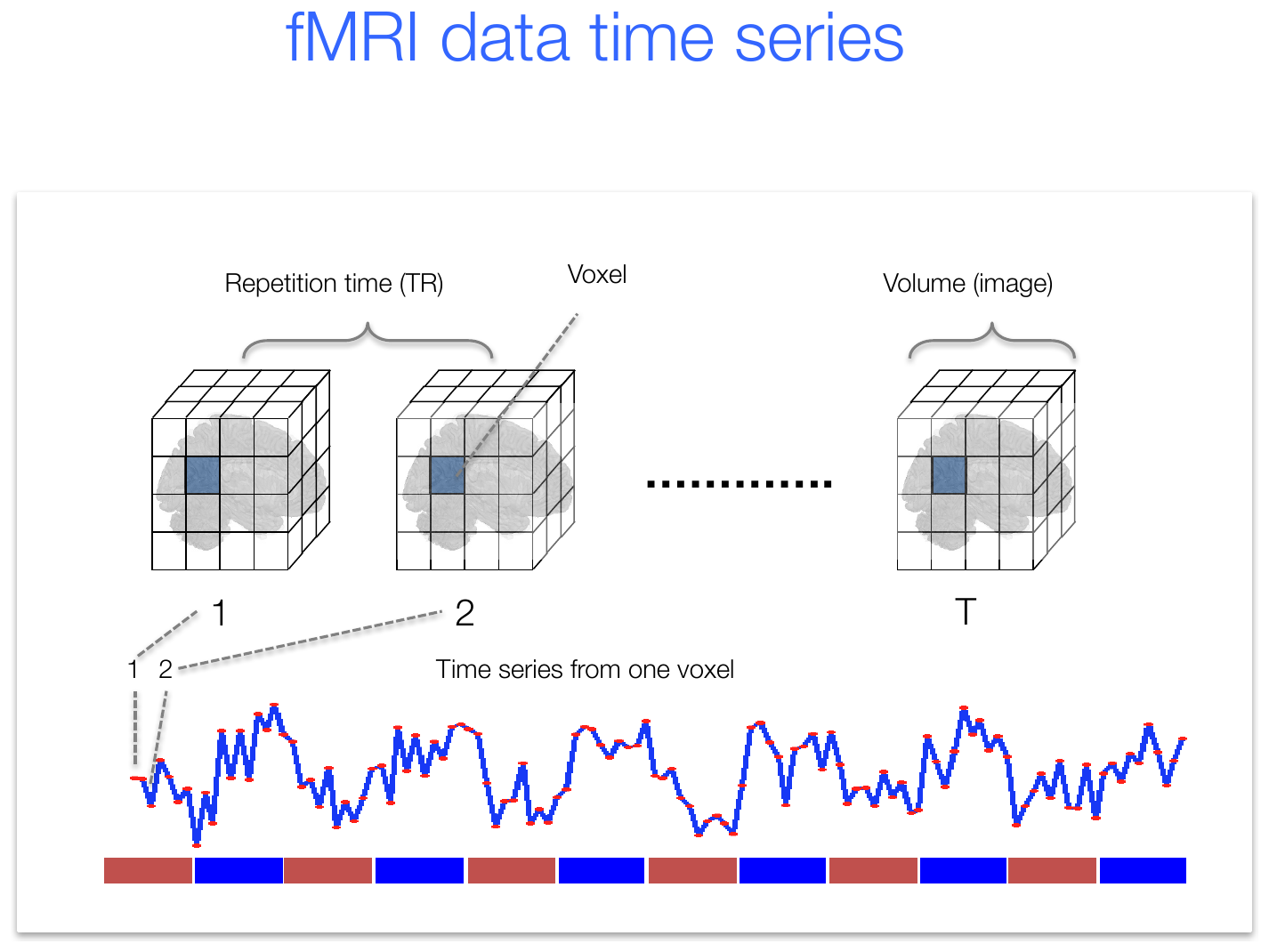A sequence of brain volumes sampled every TR, with one voxel highlighted and its extracted time series shown below task condition bars