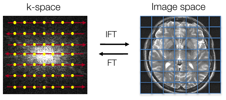 k-space data connected to image space by the Fourier transform and its inverse