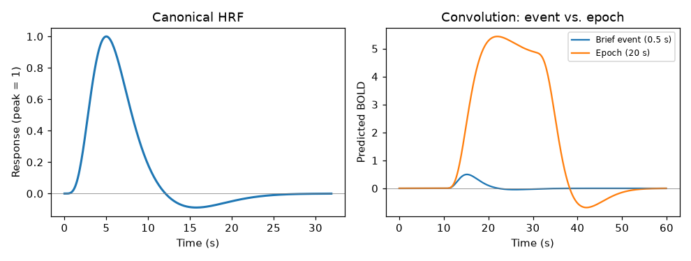 Left, the canonical double-gamma HRF peaking near 5 seconds; right, predicted BOLD responses showing a small transient for the brief event and a large plateaued response for the 20-second epoch