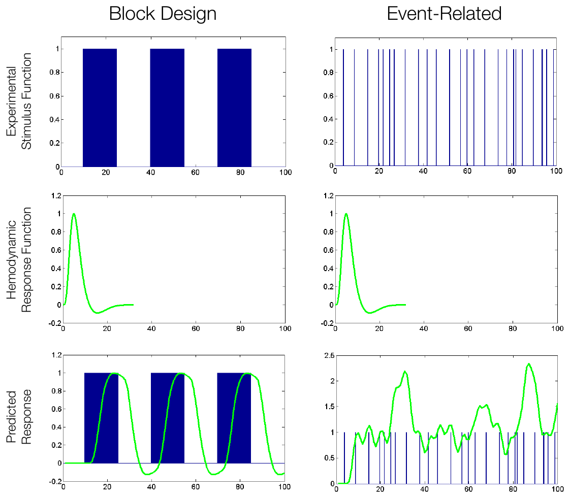 Stimulus functions for block and event-related designs convolved with a canonical HRF to produce predicted responses