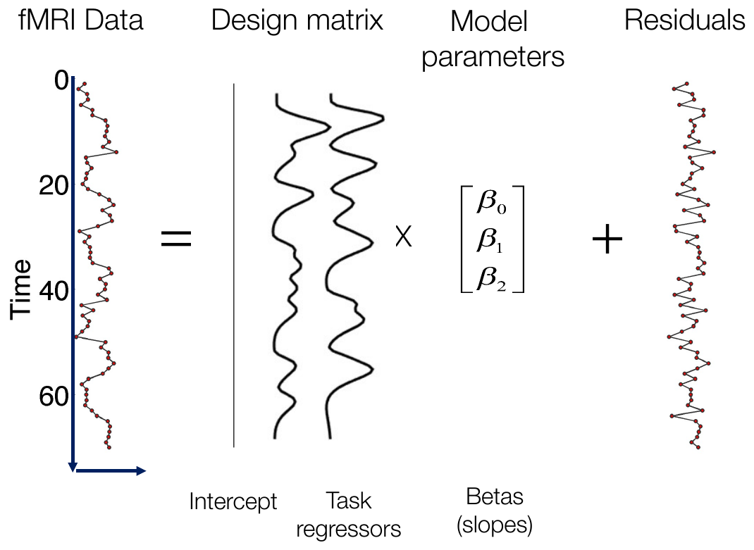 fMRI data equals design matrix times betas plus residuals