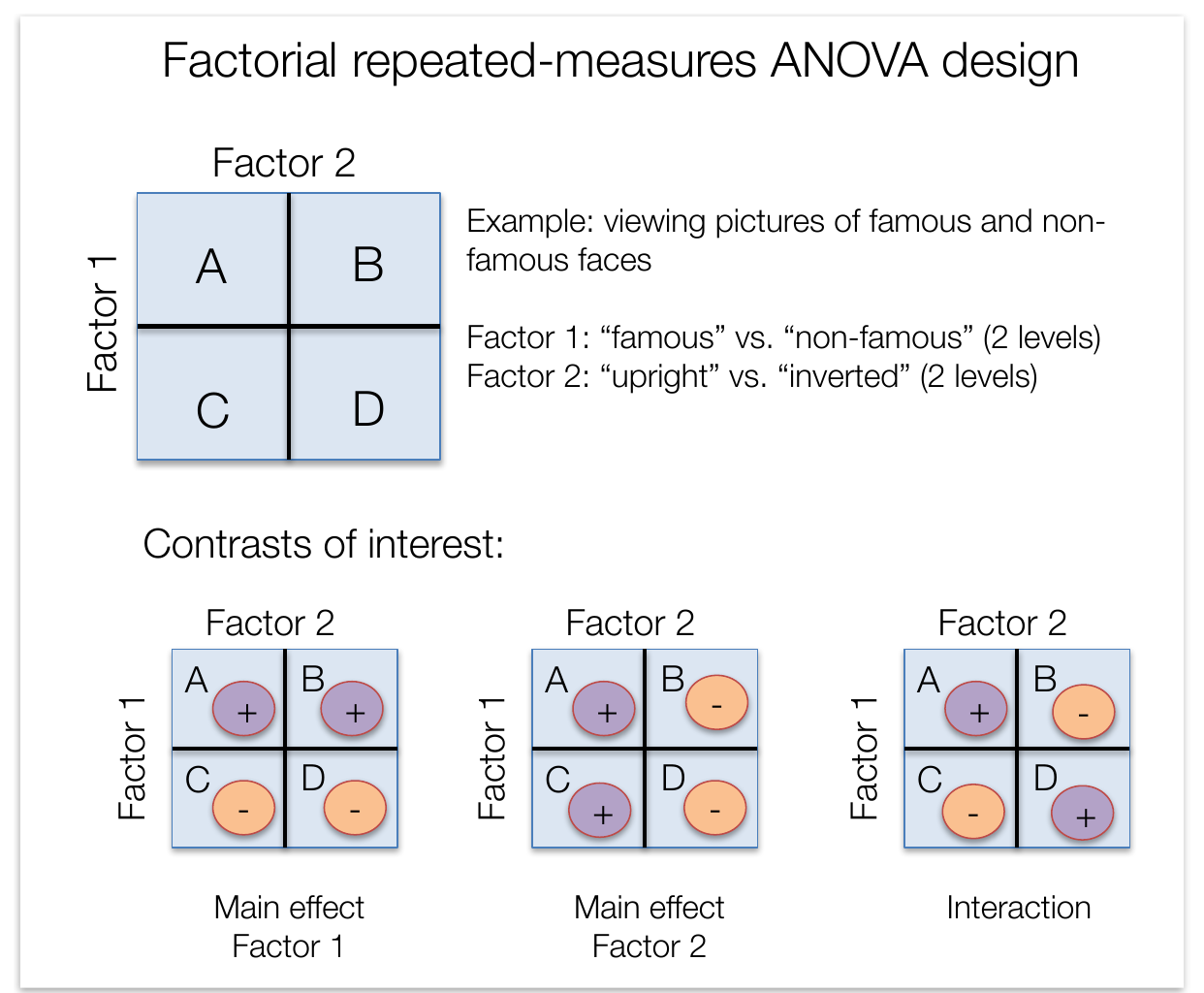 A 2x2 factorial design with cells A through D, and the plus and minus contrast weight patterns for the two main effects and the interaction