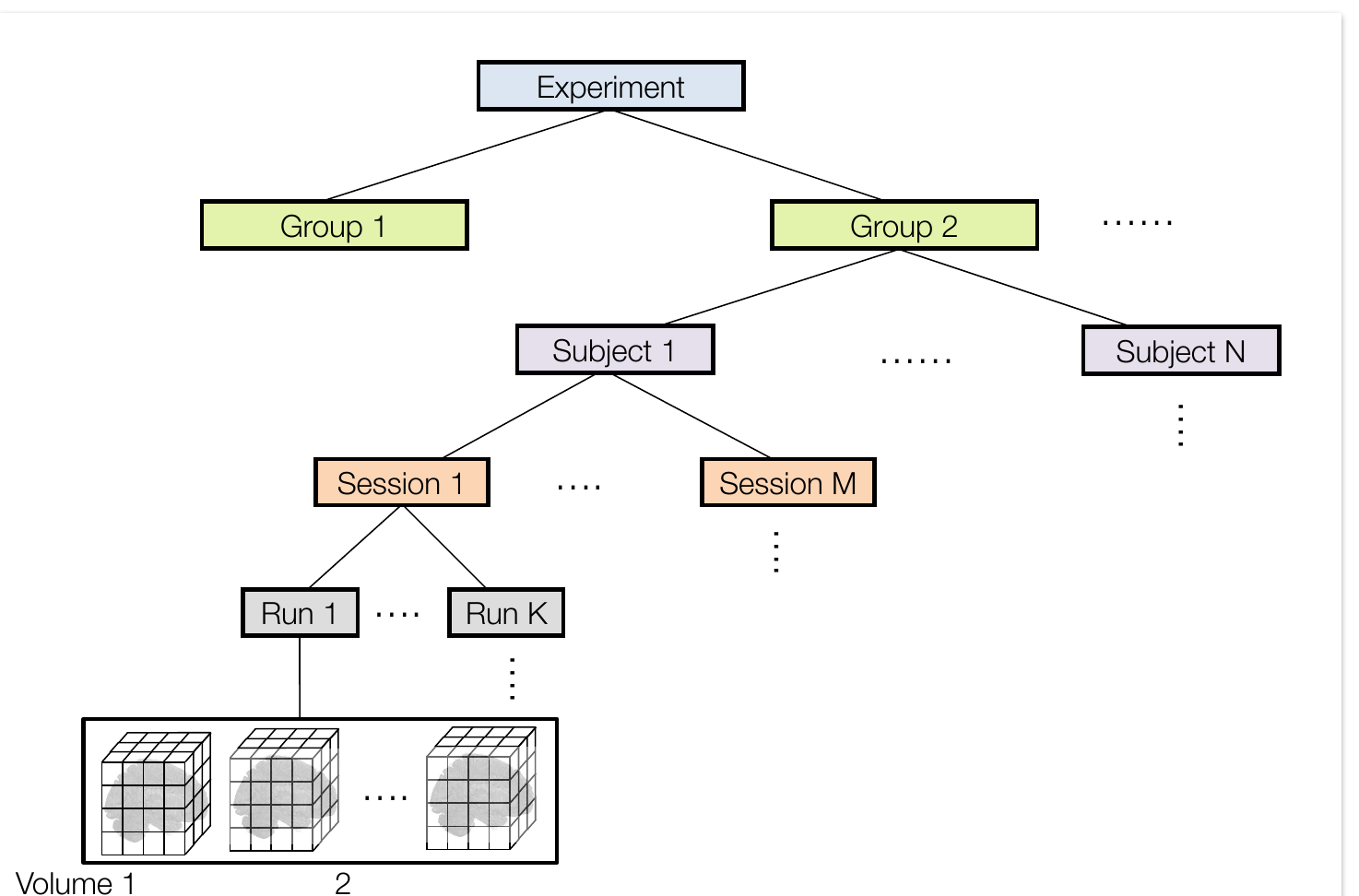 Tree diagram showing experiment at the top, branching into groups, subjects, sessions, runs, and volumes