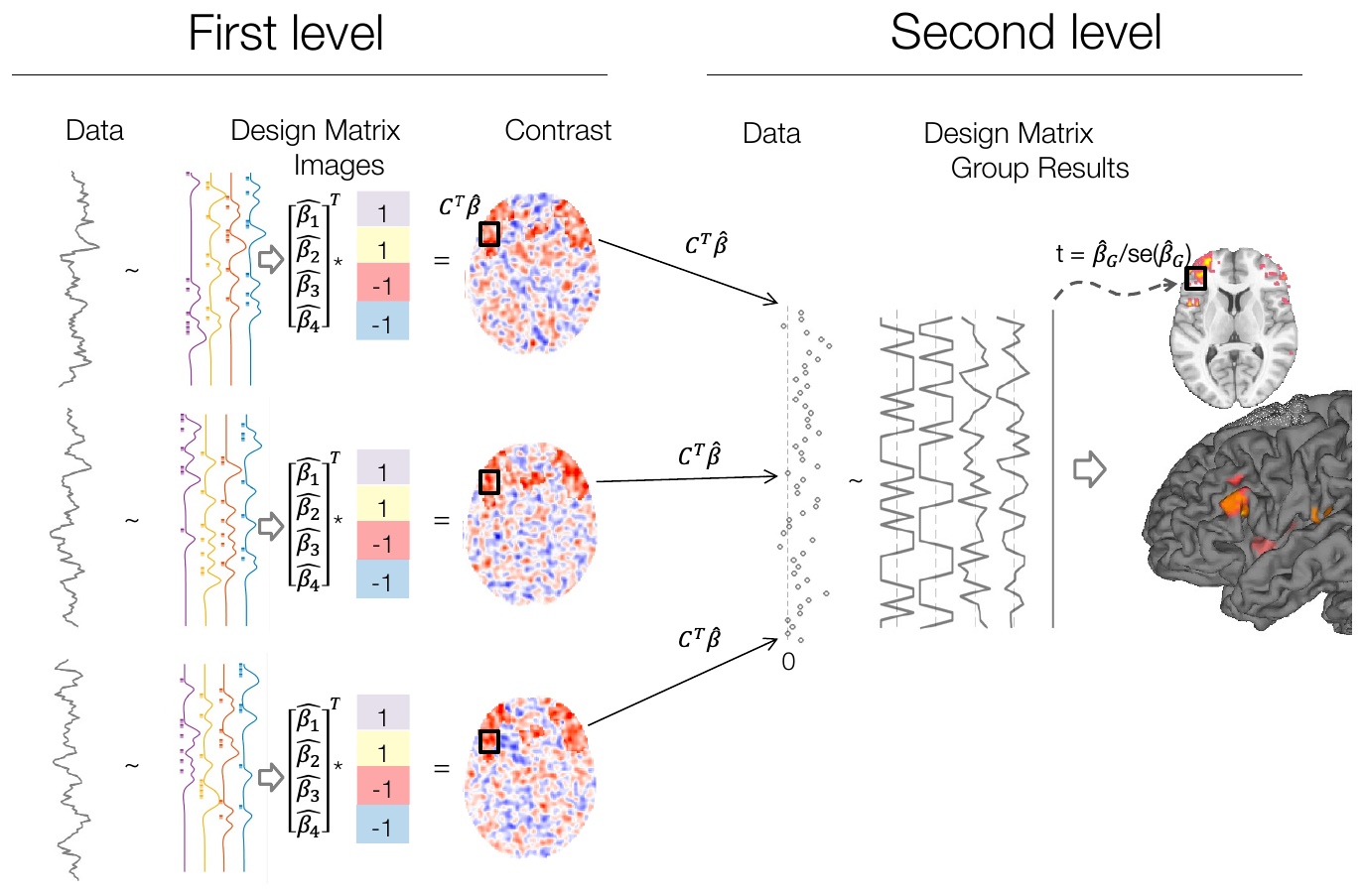 First-level GLMs produce contrast images per subject; the contrast values are carried to a second-level model producing group statistic maps