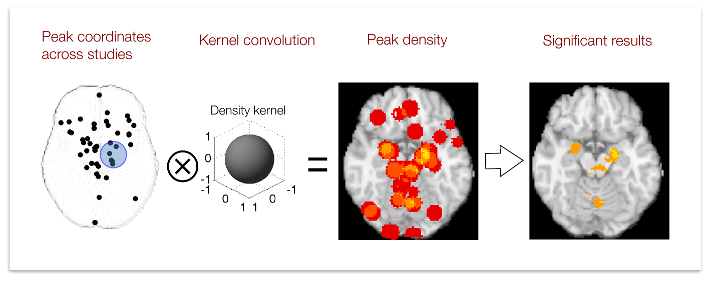 Pipeline of a KDA meta-analysis, from peak coordinates across studies, through convolution with a spherical density kernel, to a peak density map and thresholded significant results