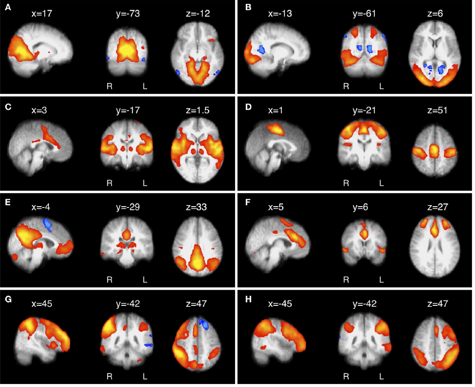Eight panels of brain maps, each showing a distributed resting-state network identified with independent components analysis