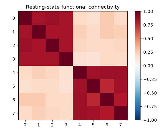 Eight-by-eight correlation matrix with two strong red blocks on the diagonal, one per simulated network