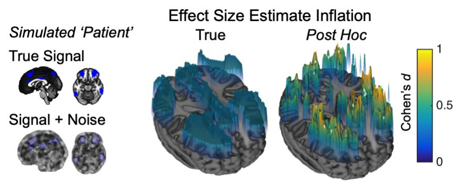 Simulated true signal with d = 0.5, signal plus noise, and 3D surface plots comparing true effect sizes to inflated post hoc effect sizes in significant voxels
