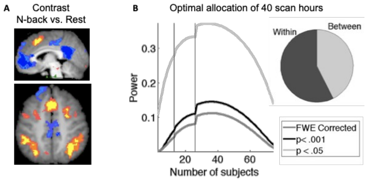 Working memory contrast map and power curves for allocating 40 total scan hours across different numbers of subjects, with a pie chart showing roughly balanced within- and between-subject variance