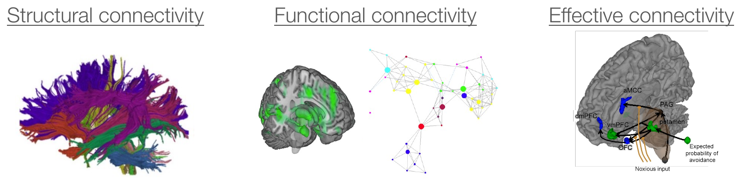 Three panels illustrating structural connectivity via tractography, functional connectivity via a graphical model, and effective connectivity via a directed dynamic causal model