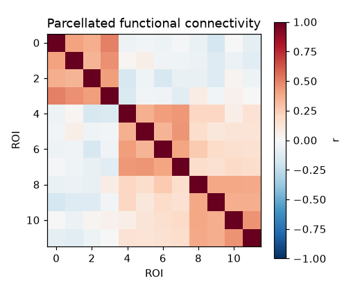 Twelve-by-twelve correlation matrix with three bright within-network blocks along the diagonal and near-zero between-network entries