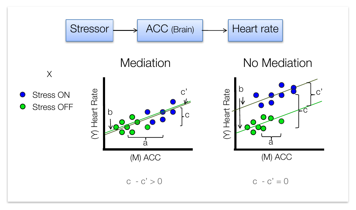Stressor to ACC to heart rate path diagram above two scatterplots contrasting mediation and no mediation