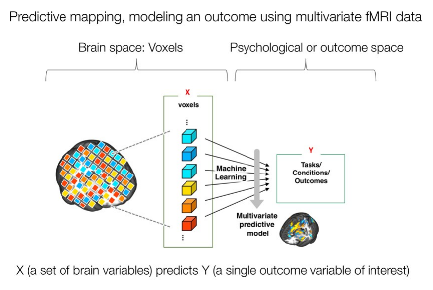 Predictive mapping diagram with voxels as predictors and tasks, conditions, or outcomes as the response variable