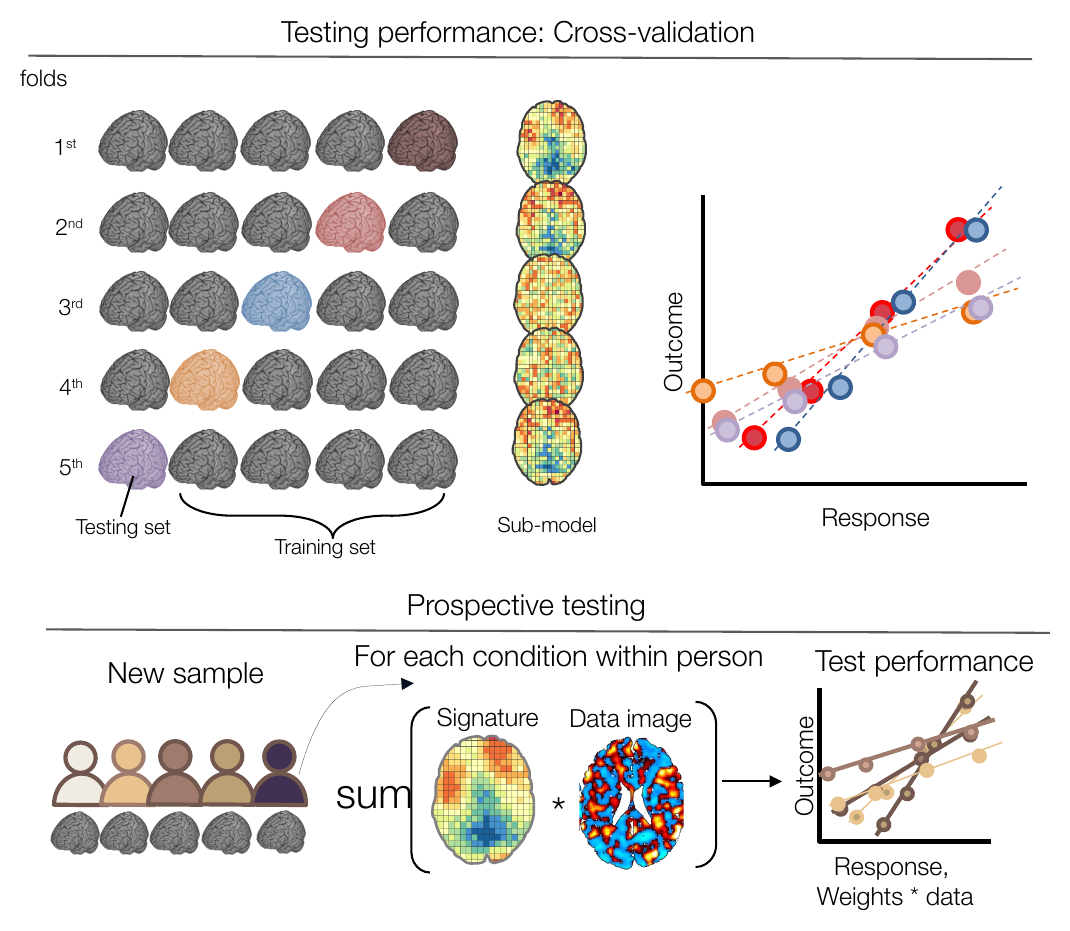 Top, five-fold cross-validation with brains assigned to training and testing sets in each fold; bottom, prospective testing applying a fixed signature to a new sample