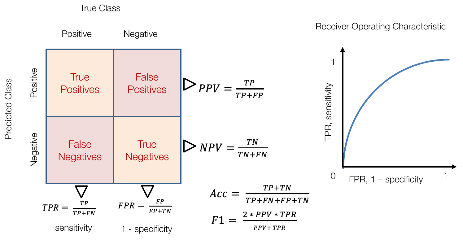 Confusion matrix defining TPR, FPR, PPV, NPV, accuracy and F1, next to a receiver operating characteristic curve plotting sensitivity against 1 minus specificity