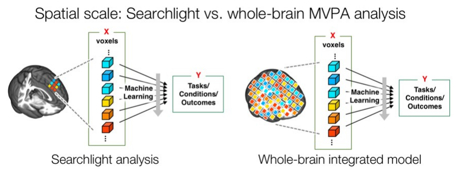 Searchlight analysis testing many local multivariate models versus a single whole-brain integrated predictive model