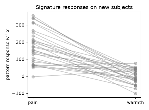 Paired pattern responses for 30 simulated subjects, with pain responses well above warmth responses for nearly every subject