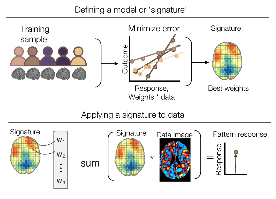 Training a brain signature from a training sample and applying its fixed weights to new data to obtain pattern responses