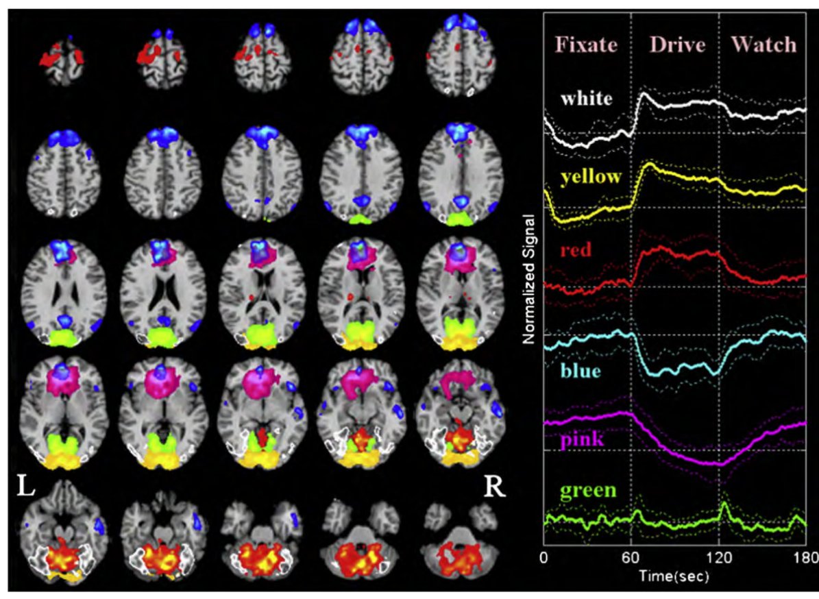 Multiple networks identified during simulated driving