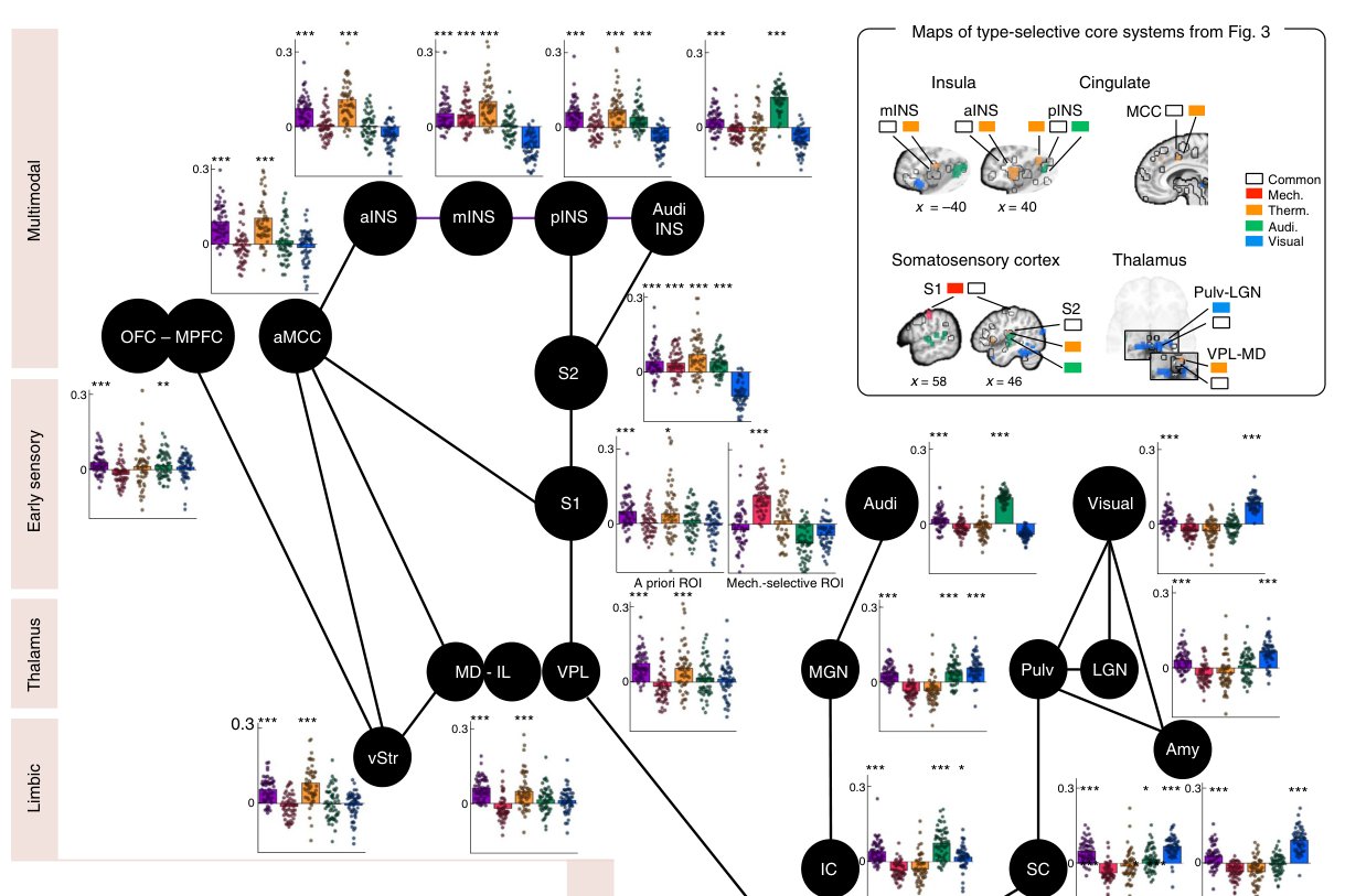 Hierarchical network of core regions linking sensory and multimodal systems