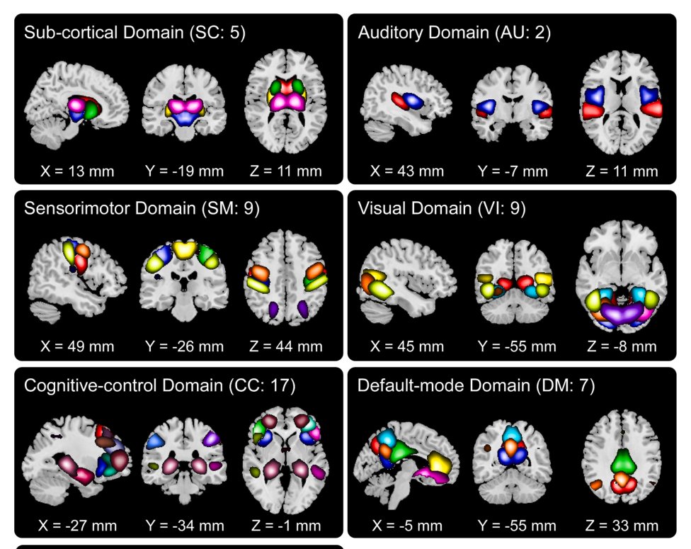 NeuroMark network templates by functional domain