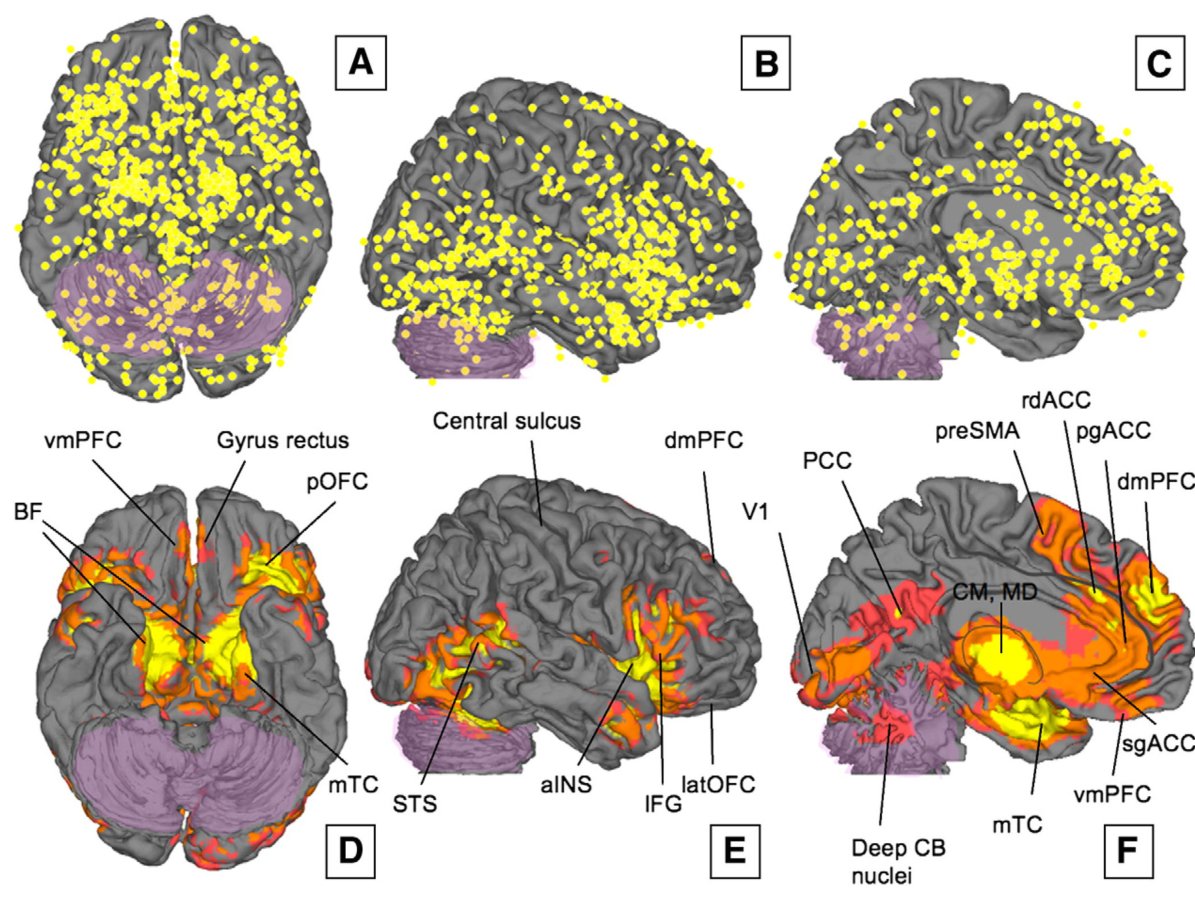 Peak coordinates from 437 emotion contrasts and consistent activations