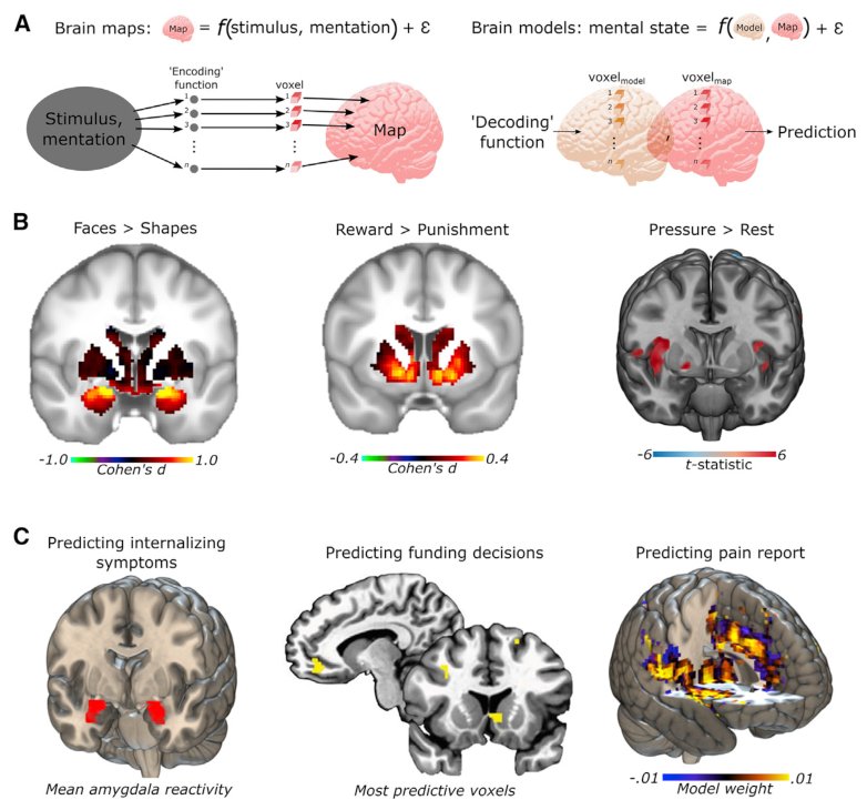 Encoding/decoding models and brain maps for faces, reward and pressure