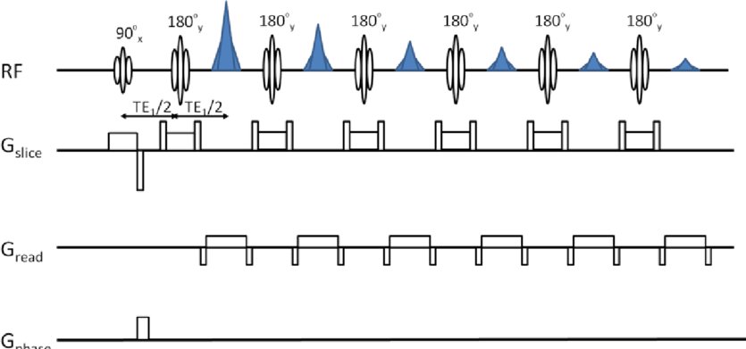 Spin-echo pulse sequence timing diagram