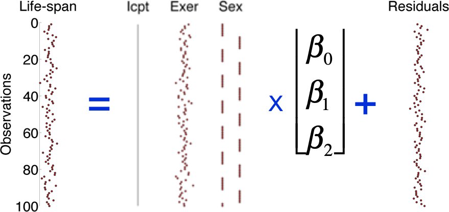 GLM schematic: data equals design matrix times betas