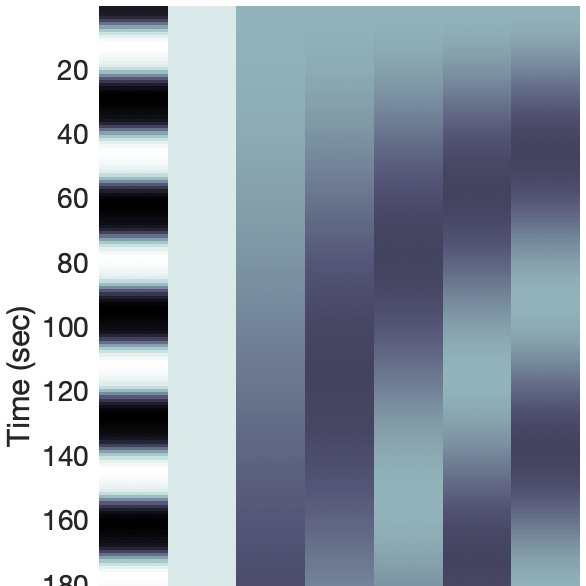 Discrete cosine high-pass filter basis alongside a box-car task