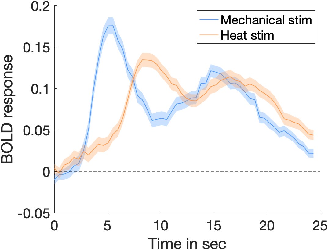 Basis-set fits of BOLD responses to mechanical versus heat stimulation