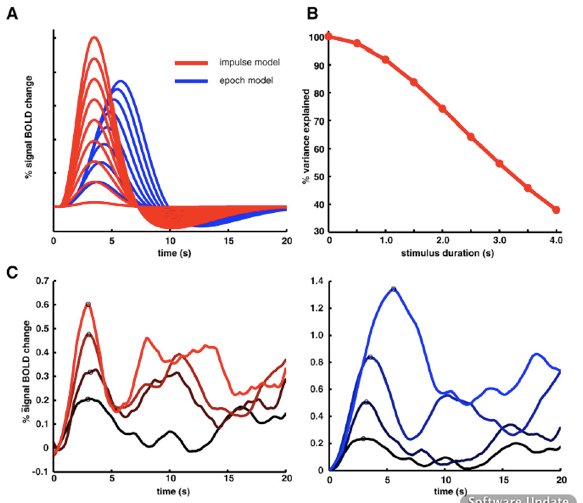 Impulse versus epoch models across stimulus durations