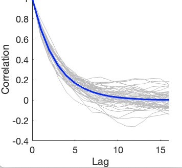 Flexible autocorrelation estimates across voxels with mean curve
