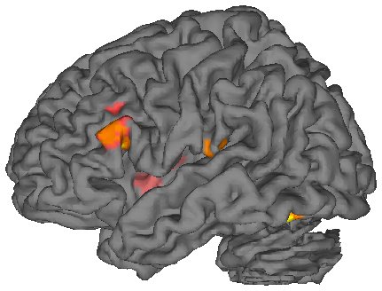 Group activation rendered on an inflated cortical surface