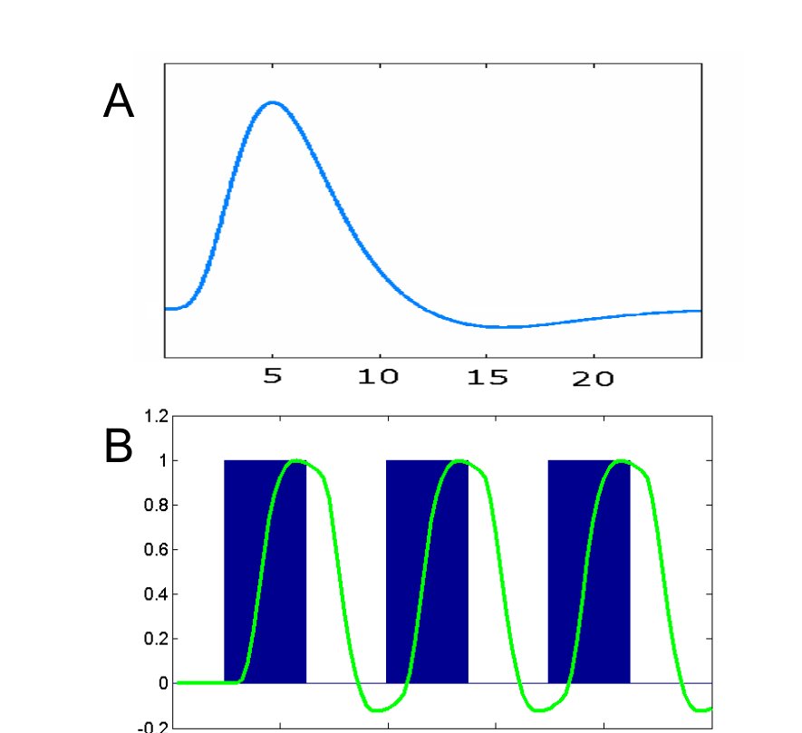 Canonical hemodynamic response and block convolution