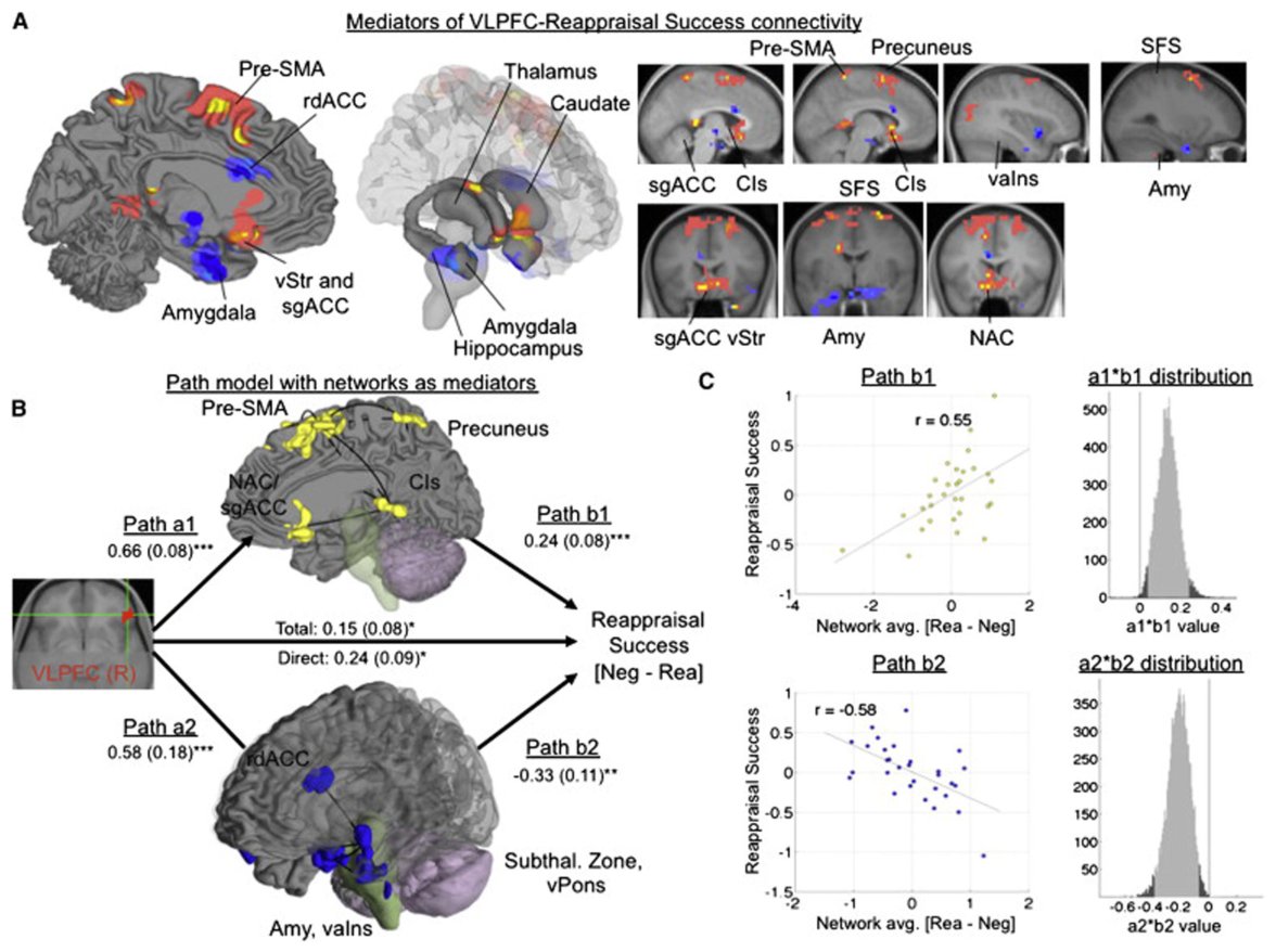 Path model with brain networks mediating reappraisal success